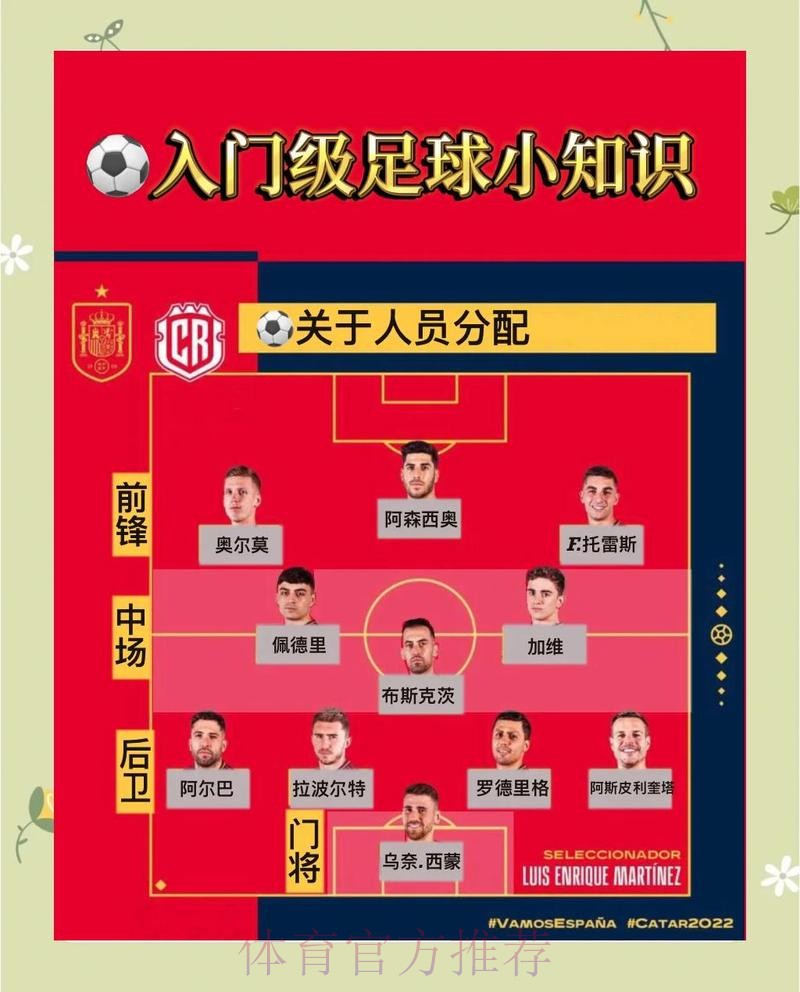 最新版世界杯滚球安卓应用下载安装指南